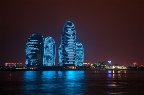 鱼头大大鱼头泡饭