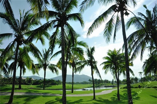 诱回头花艺餐厅鱼蛙火锅