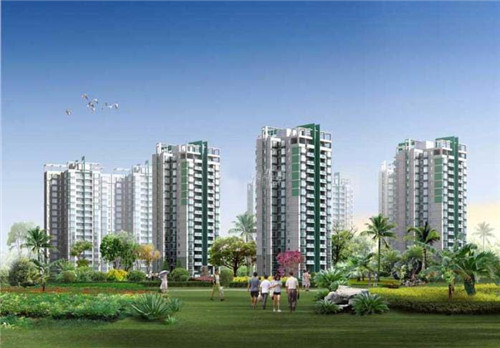 哪些白茶加盟品牌值得信赖