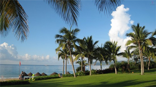 茶方圆奶茶市场前景如何