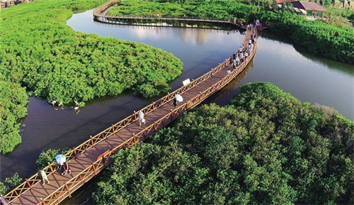 奶茶店打糖水比例是多少