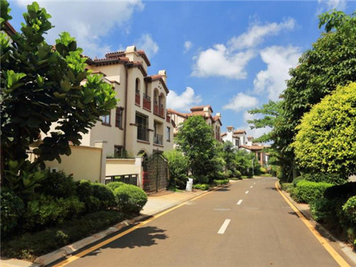 在海丰县加盟纸皮包子有市场吗