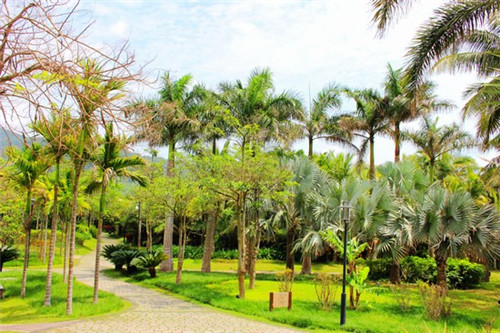 小基优品炸鸡品牌具有哪些优势