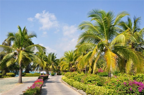 加盟广昌排骨米饭教技术吗，加盟广昌排骨米饭如何选址