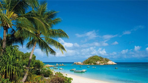 瘦肉炒新鲜笋干怎么炒（瘦肉炒新鲜笋干怎么炒的）