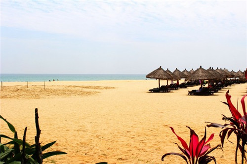 手游形式产品是什么（手游的类型）