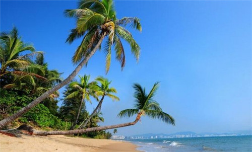 东北猪肉炒刀豆怎么炒（肉炒刀豆怎么做好吃）