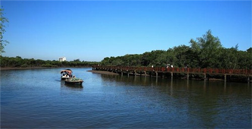 中国十大油老虎车型（油老虎汽车排名前100）